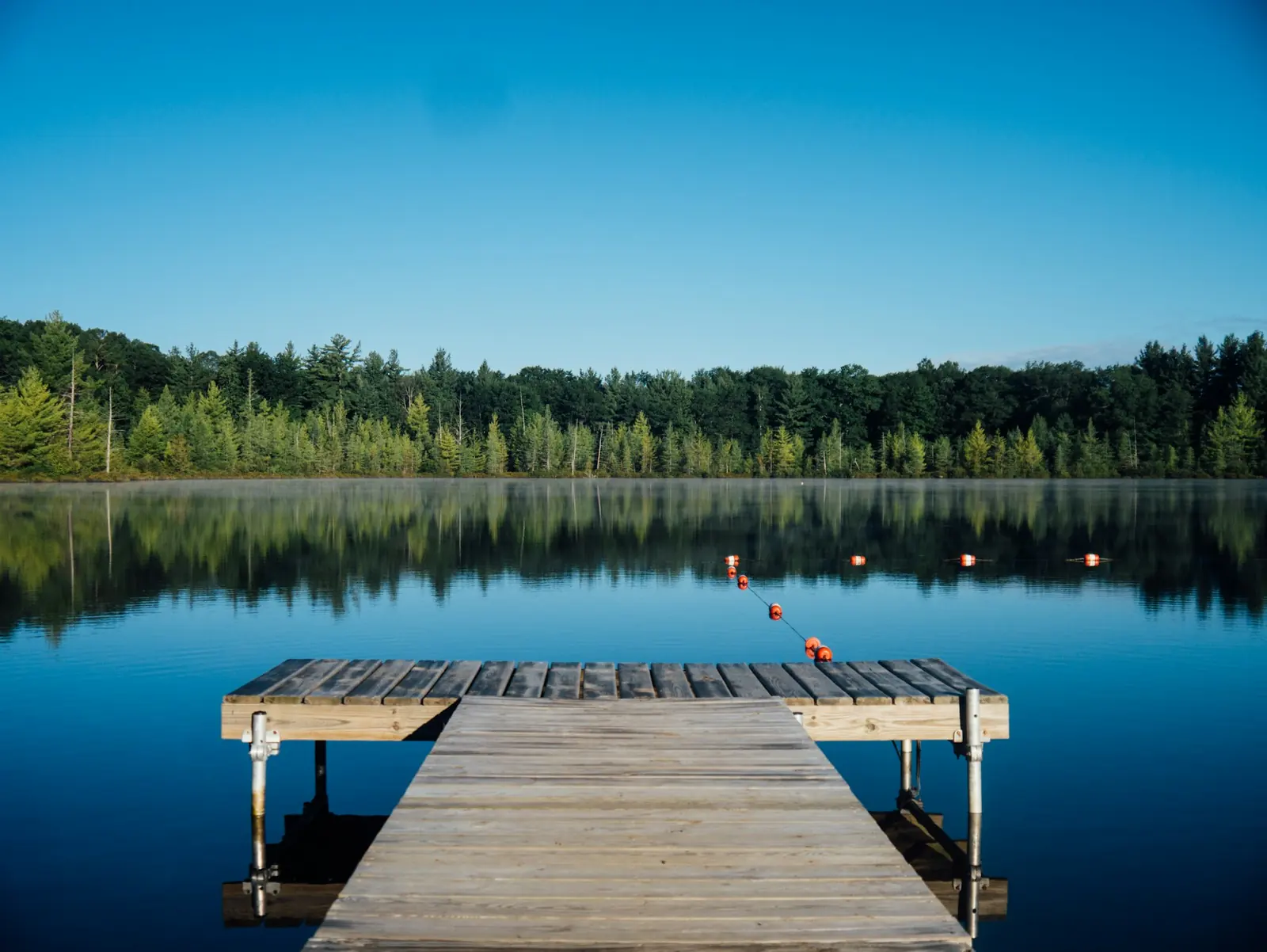 A calm lake and forest shore