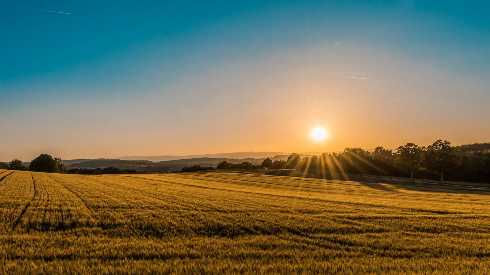 Open grassland under a wide sky